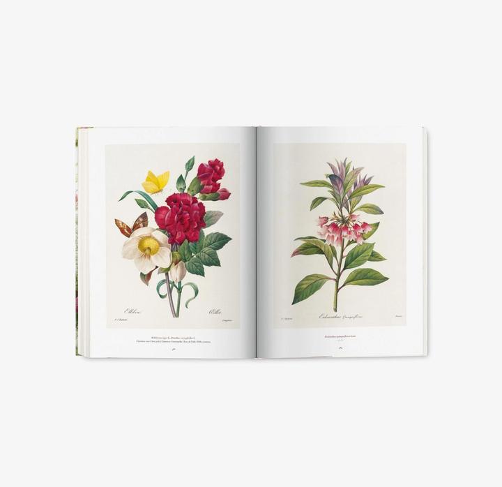 Produktbild Redouté. The Book of Flowers (Deutsch, H. Walter Lack, 2017)