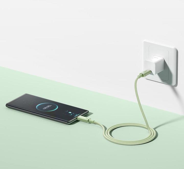 Produktbild Baseus Fast Charging cable USB-C to USB-C Habitat Series 2m 100W (green) (2 m, 100 W)