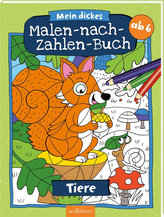 Actual product image My thick paint by numbers book animals