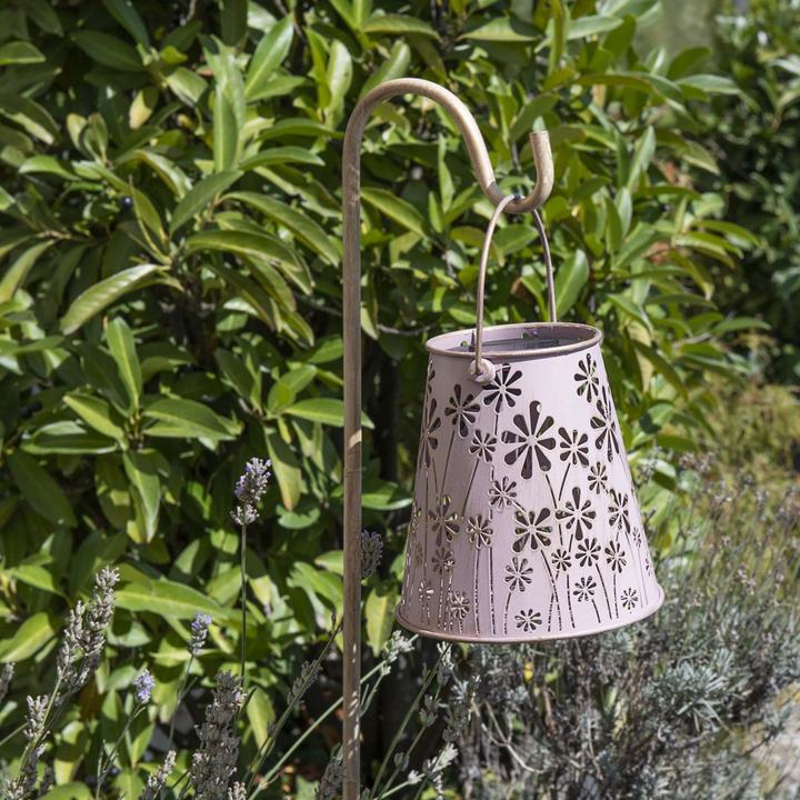 Image du produit STT Antic Daisy