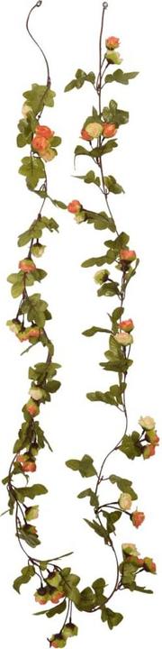 Produktbild vidaXL Kranz