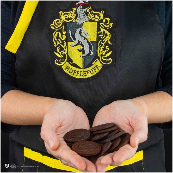 Immagine prodotto Cinereplicas Harry Potter: Hufflepuff