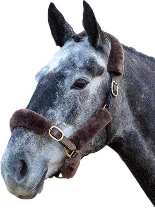 Shires Lot de 9 HalterFleece Performance SupaFleece