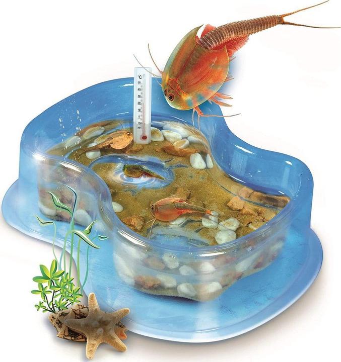 Image du produit Galileo Set de démarrage original Triops