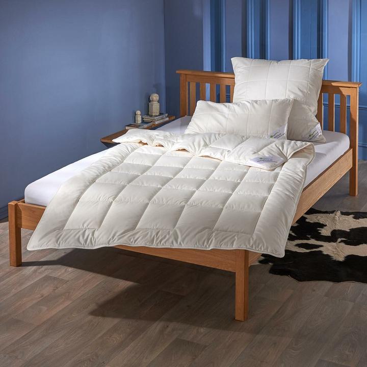 Actual product image Traumschlaf medium Baumwolle (1600 g, 160 x 210 cm)