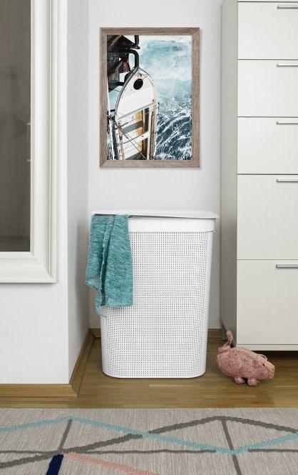 Actual product image Rotho Breezes 1 (50 l)