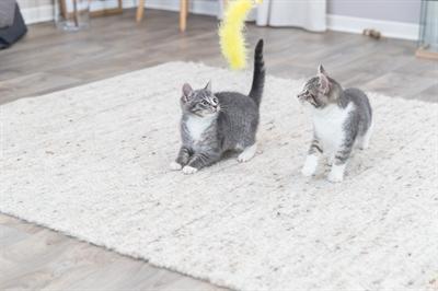 Produktbild Trixie Speelhengel Met Ratelbal En Veer Kunststof Assorti (Spielangel Katze)