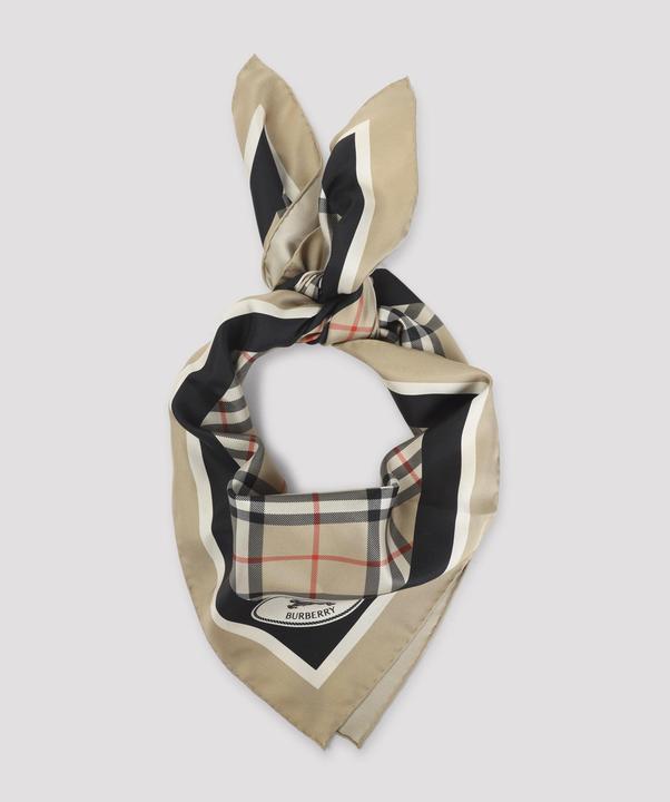 Actual product image Burberry 8113048