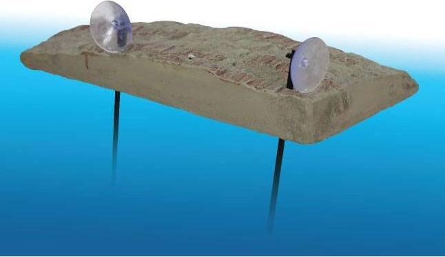 Actual product image Reptiles-Planet Turtle Island