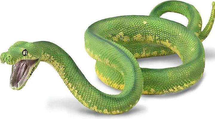 Produktbild Collecta Grüne Frage