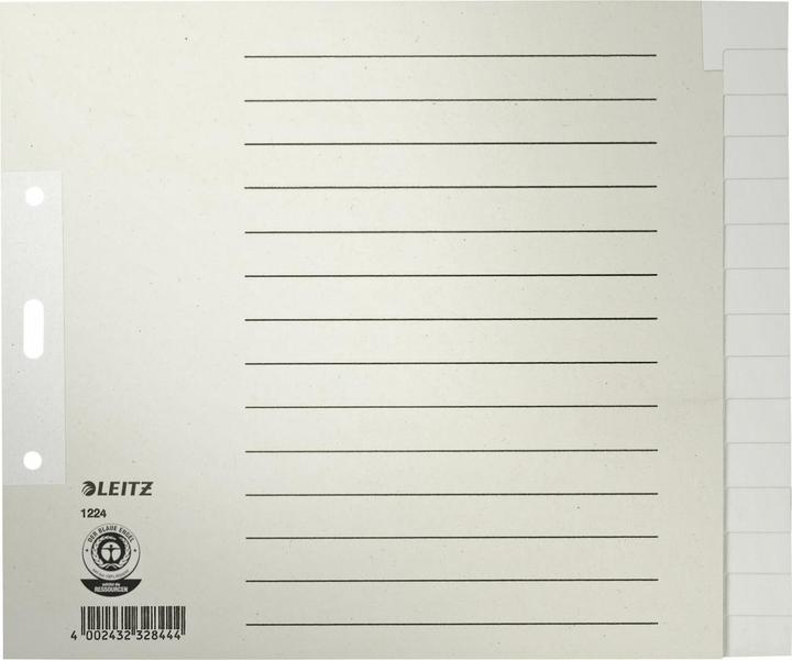 Image du produit Leitz Onglet Papier