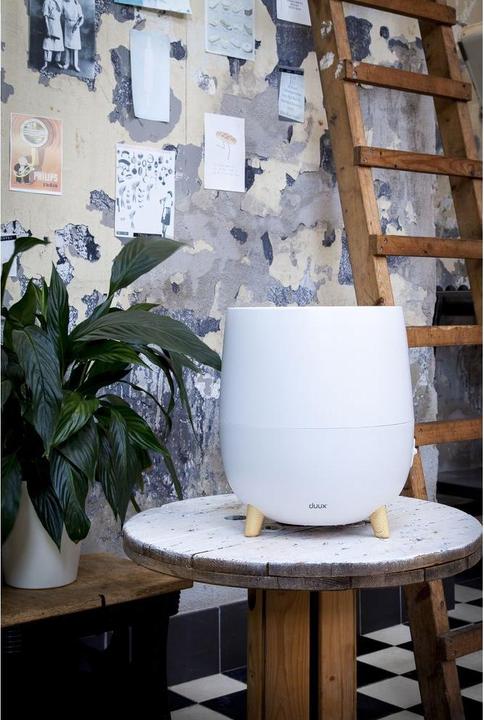 Produktbild Duux Ovi (30 m²)