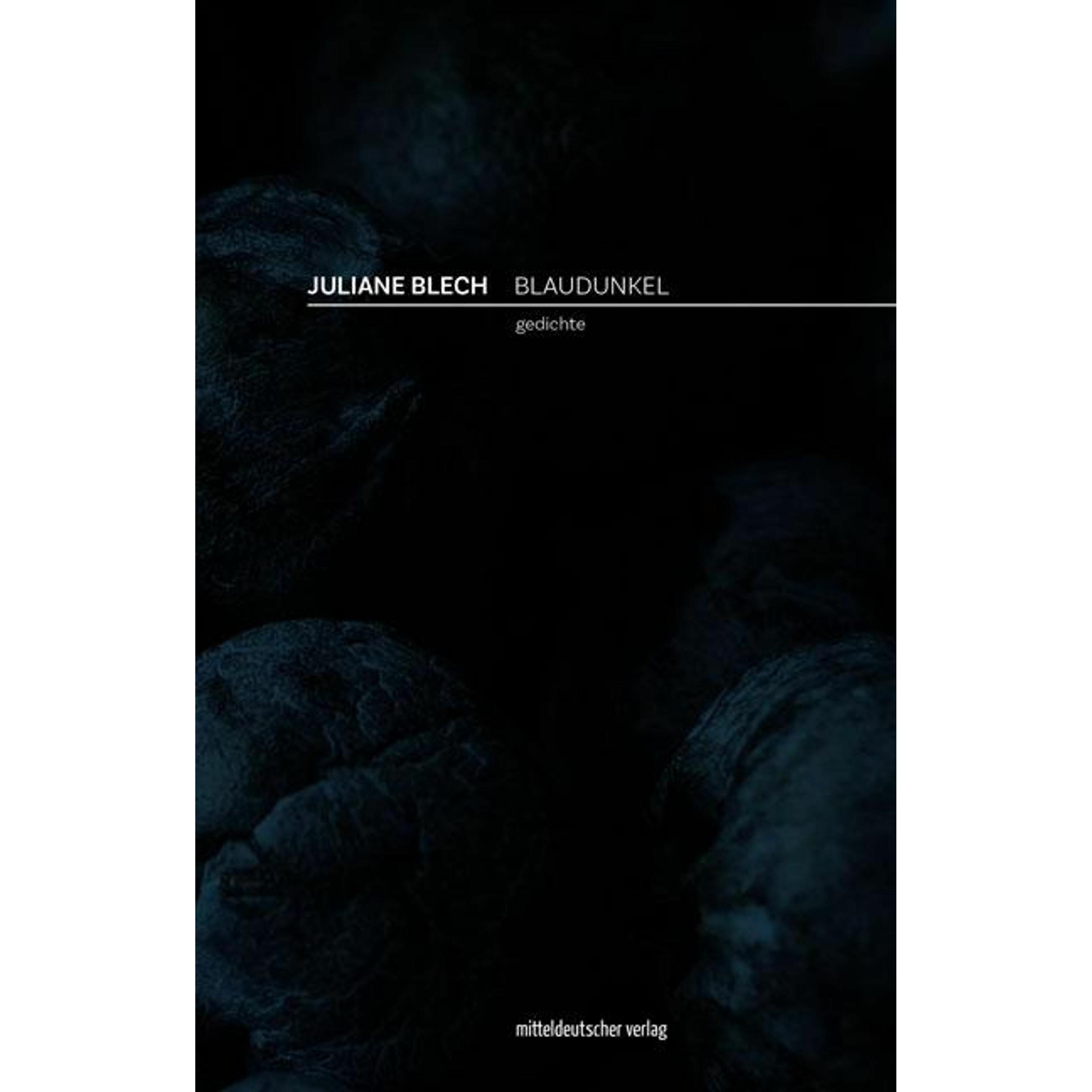 Blaudunkel, Belletristik von Juliane Blech