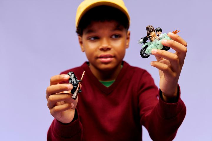 Actual product image LEGO Hagrids und Harrys Flucht aus dem Ligusterweg (76459, LEGO Harry Potter)