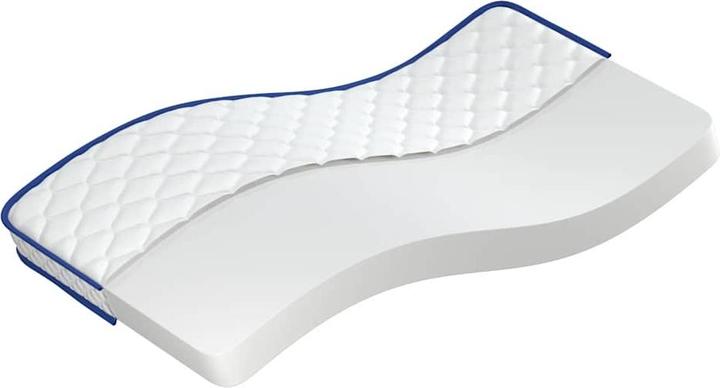 vidaXL Schaumstoffmatratze (Schaumstoffkern, 100 x 200 cm)