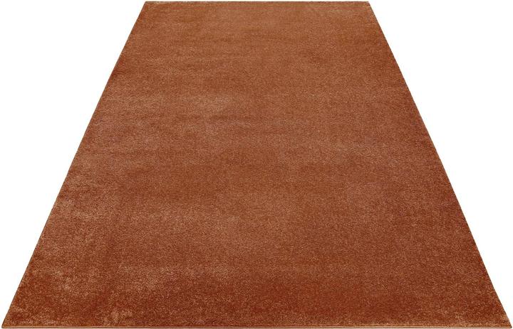 Image du produit Esprit Campus (133 x 190 cm)