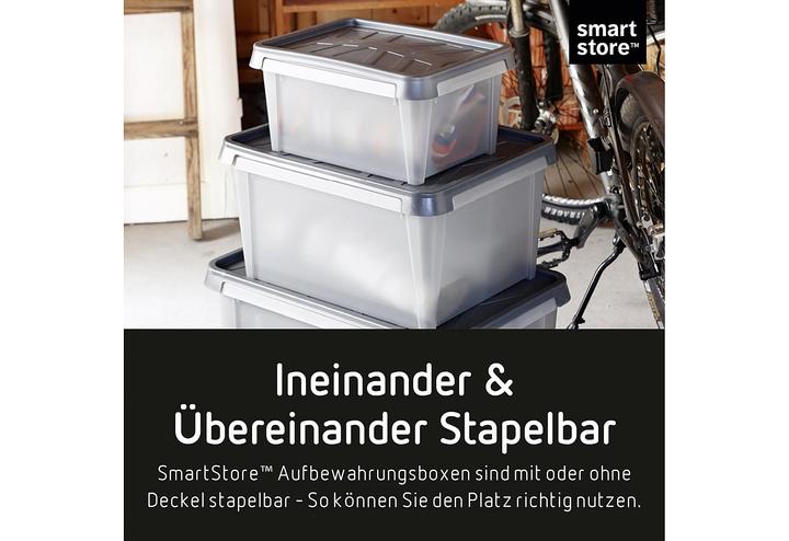 Immagine prodotto Ebnat SmartStore Dry Box (50 x 40 x 27 cm, 33 l, 1x)