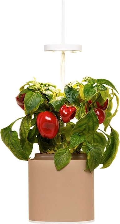 Pot à herbes Nano, Sand Grey (13.50 cm)