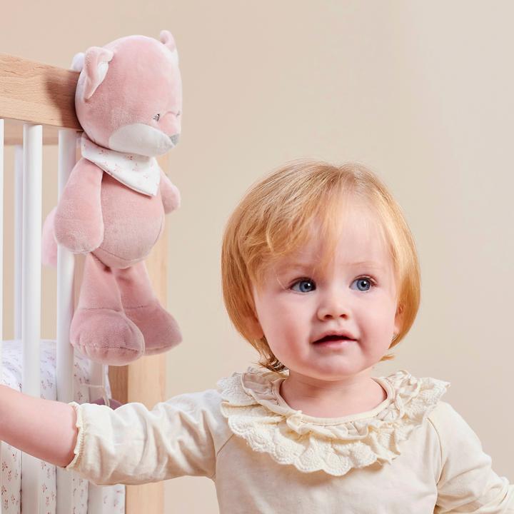 Image du produit Nattou Alice & Pomme Grande Alice le renard