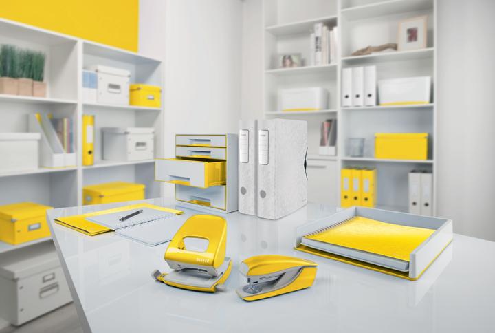 Produktbild Leitz WOW Click & Store Ablagebox (A4)