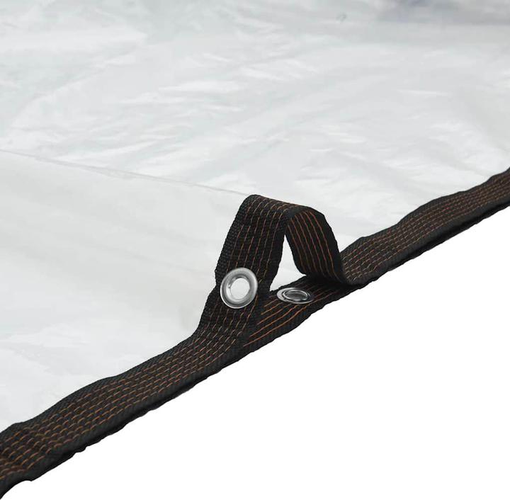 Immagine prodotto vidaXL Telone trasparente con occhielli 4x5 m telone trasparente in polietilene (5 x 4 m)