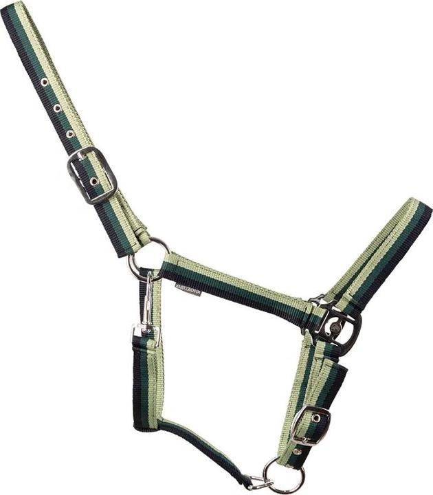 Image du produit Hy - Licol TRINITY