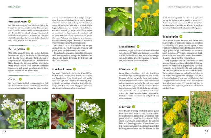 Actual product image Der Selbstversorger: Mein Gartenwissen (German, Wolf-Dieter Storl, 2017)