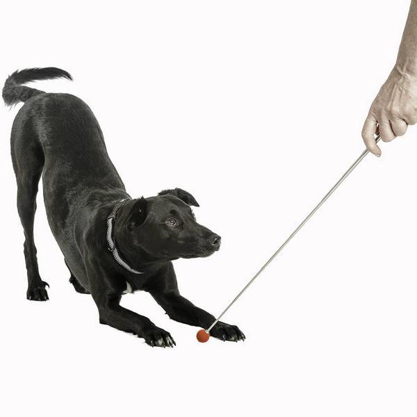 Produktbild Company of Animals Clix Target Stick, 14-70 cm, silbrig