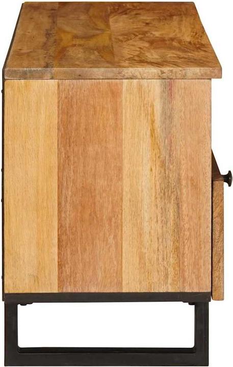 Image du produit vidaXL TV-Schränk (100 x 33 x 46 cm)