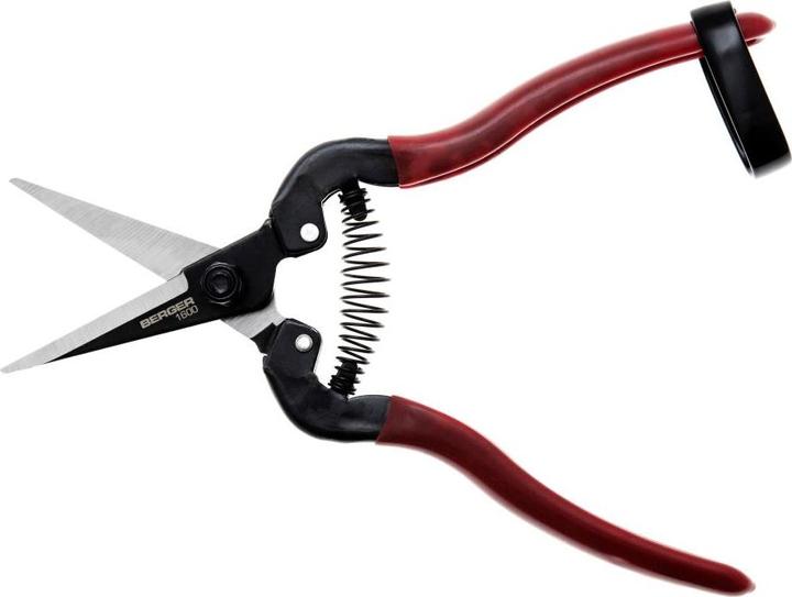 Actual product image Berger Grape shears 200 mm