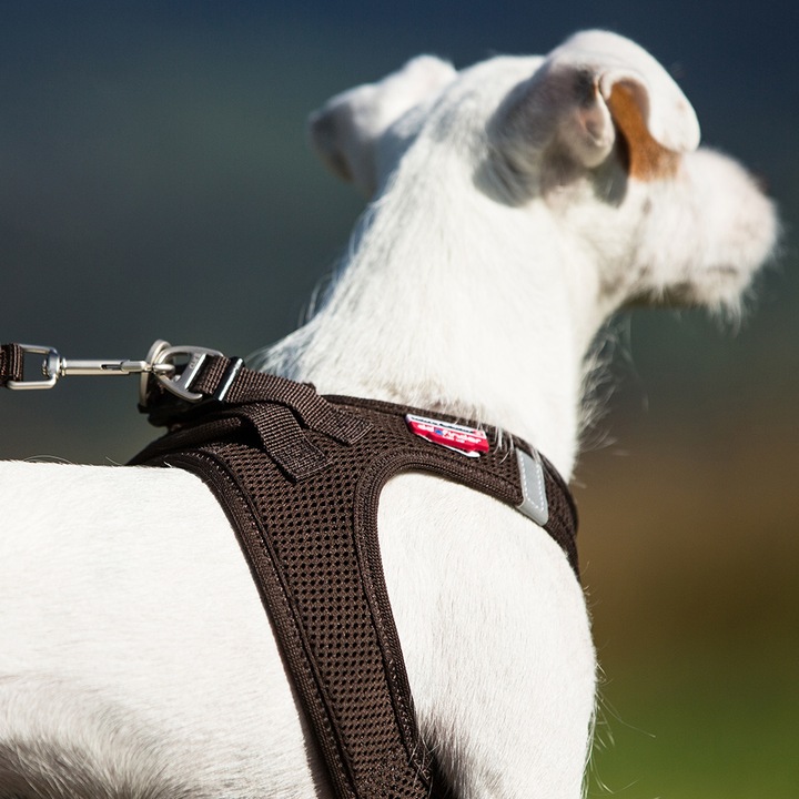 Produktbild Curli Vest Air-Mesh (XL, Hund, Allgemein)