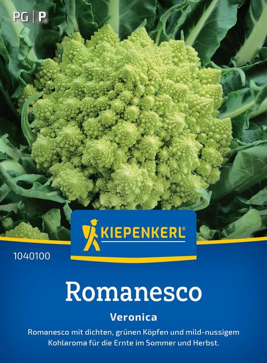 Produktbild Kiepenkerl Romanesco Veronica, F1 (Gemüsesamen)