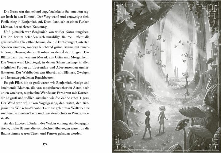 Actual product image Whisperwicks – Die Suche nach den Flüsterflammen (German, Jordan Lees, 2025)