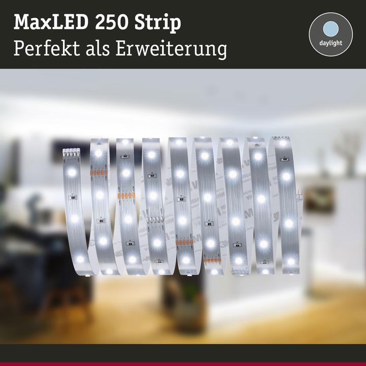 Actual product image Paulmann MaxLED 250 Stripe (Daylight, 250 cm, Indoor)
