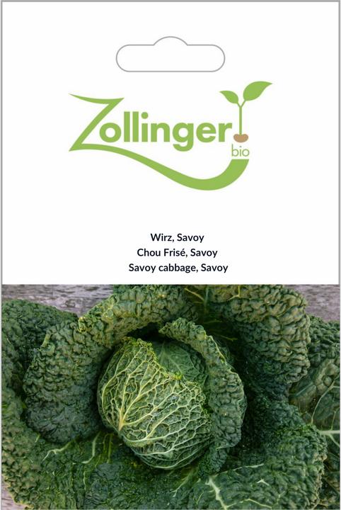 Produktbild Zollinger Bio Wirz, Savoy
