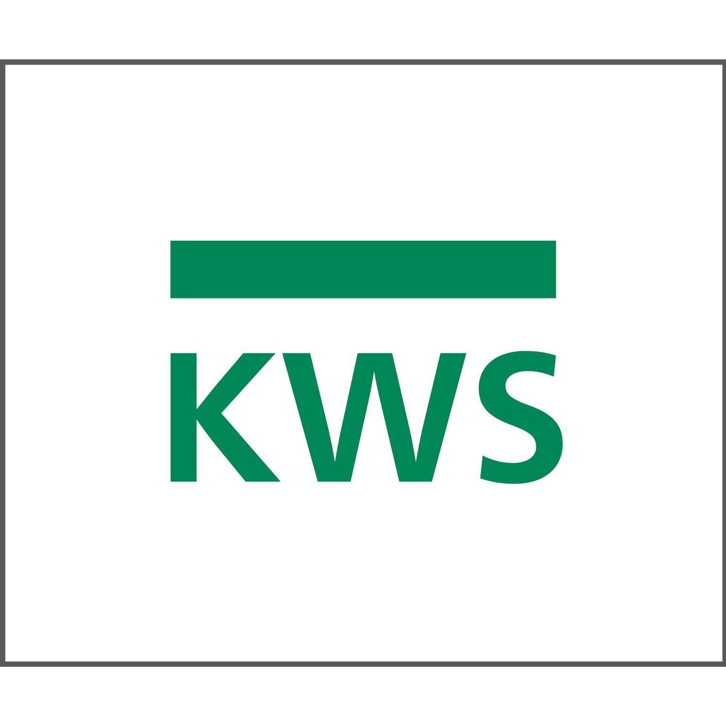 Kws, Türgriff + Fenstergriff, Stützrosette f. Holz/Glastüren - ø 30mm, Edelstahl (Türgarnitur)