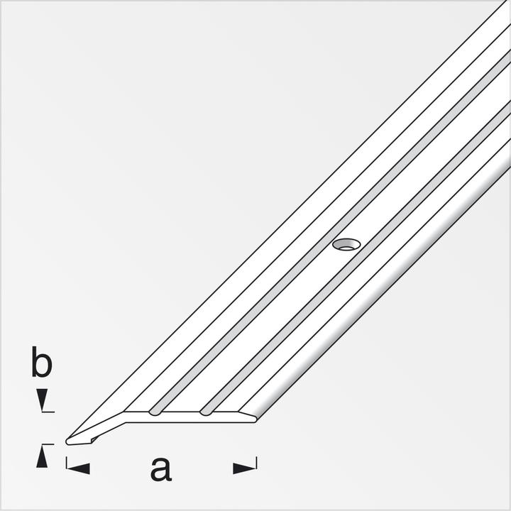 Image du produit Alfer profil de finition