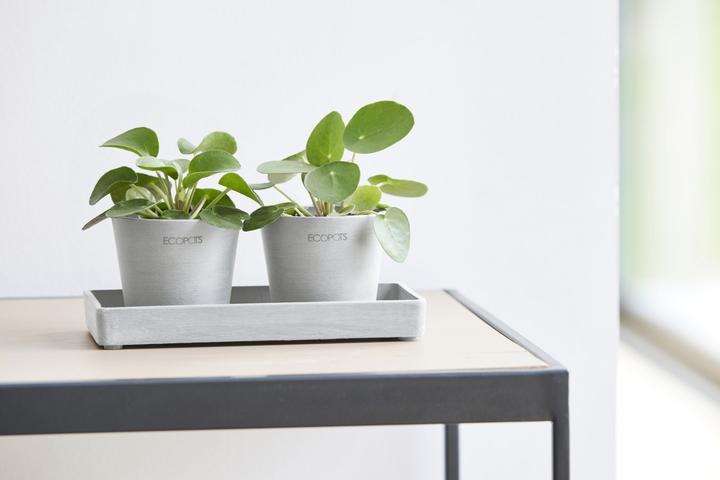 Actual product image Ecopots Amsterdam Untersetzer rechteckig