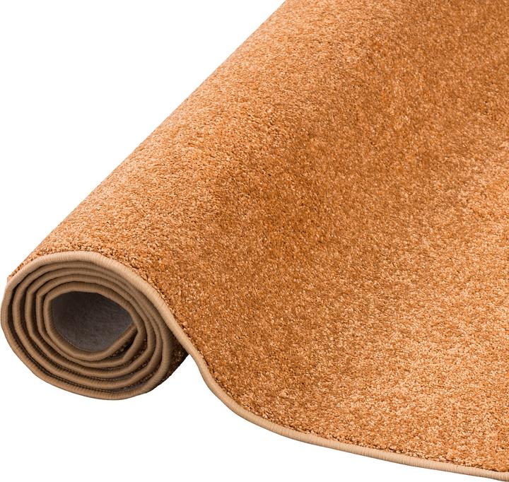 Actual product image Snapstyle Hochflor Velours Läufer Teppich Luna (100 x 100 cm)