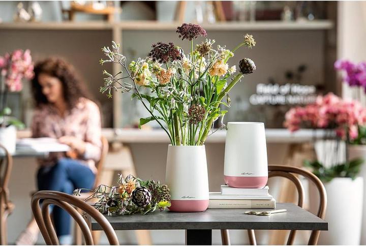 Produktbild Lechuza Yula (1.70 l)