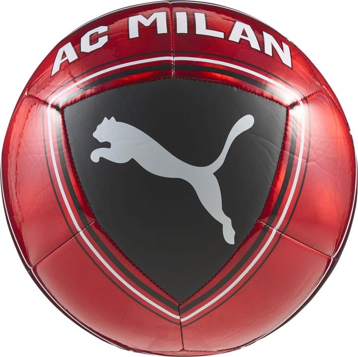 Puma ACM CULTURE Ball (5)