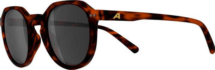 Produktbild Alpina Sneek 2.0