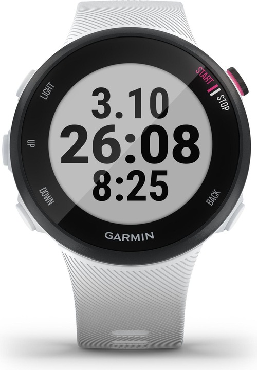 Actual product image Garmin Forerunner 45S (39.50 mm)
