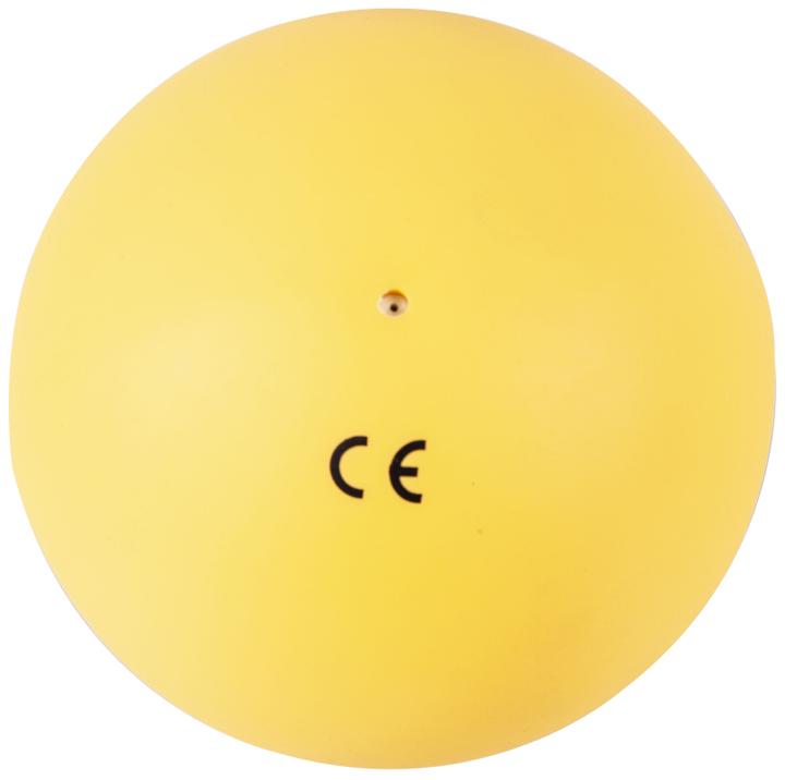 Image du produit Tanga Sports ® Gymnastikball Training