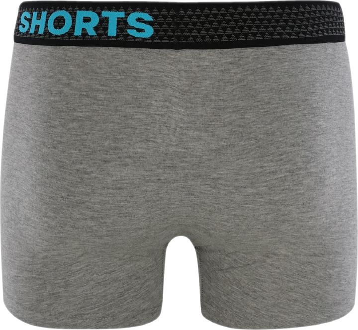 Actual product image Phil & Co. Berlin Retro Pants All Styles (L, pack of 4)