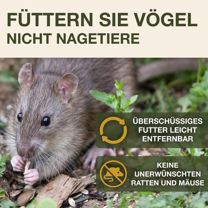 Actual product image Swissinno Vogel-Futtersilo "Lucerne" Smart Birds