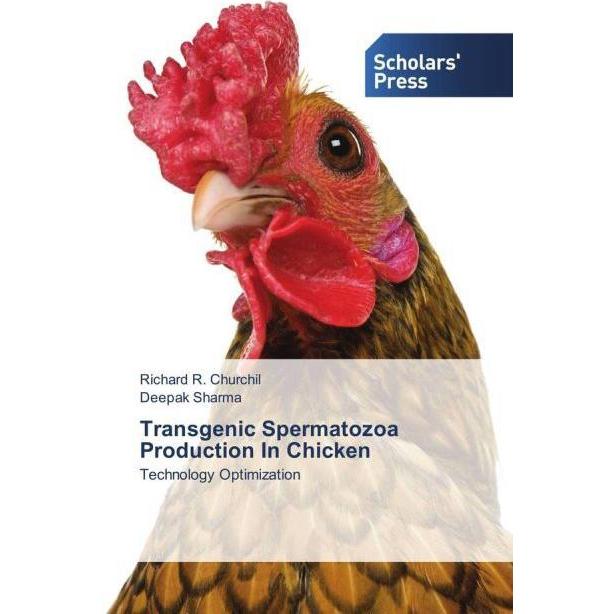 Transgenic Spermatozoa Production In Chicken, Fachbücher von Deepak Sharma, Richard R. Churchil