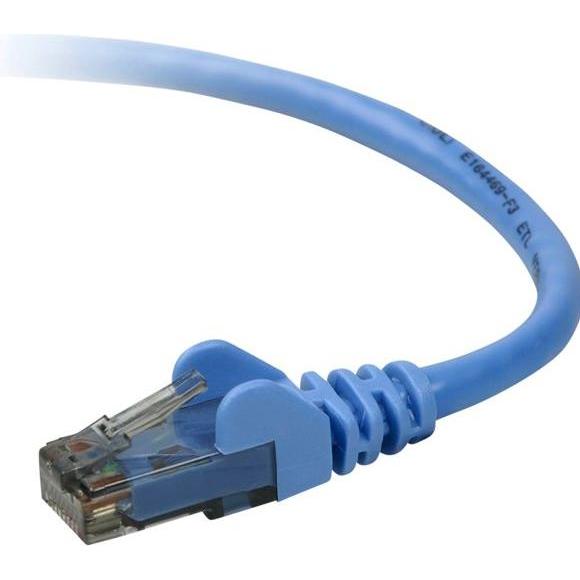Thumbnail - Belkin CAT 5 e Netzwerkkabel 5,0 m UTP Snagless (U/UTP, CAT5e, 5 m), Netzwerkkabel