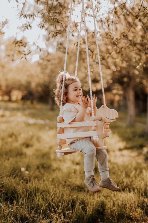 Actual product image small foot Dino swing Rex