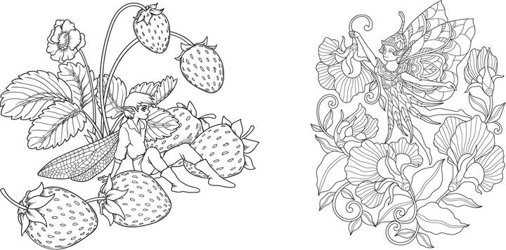 Produktbild Magische Natur